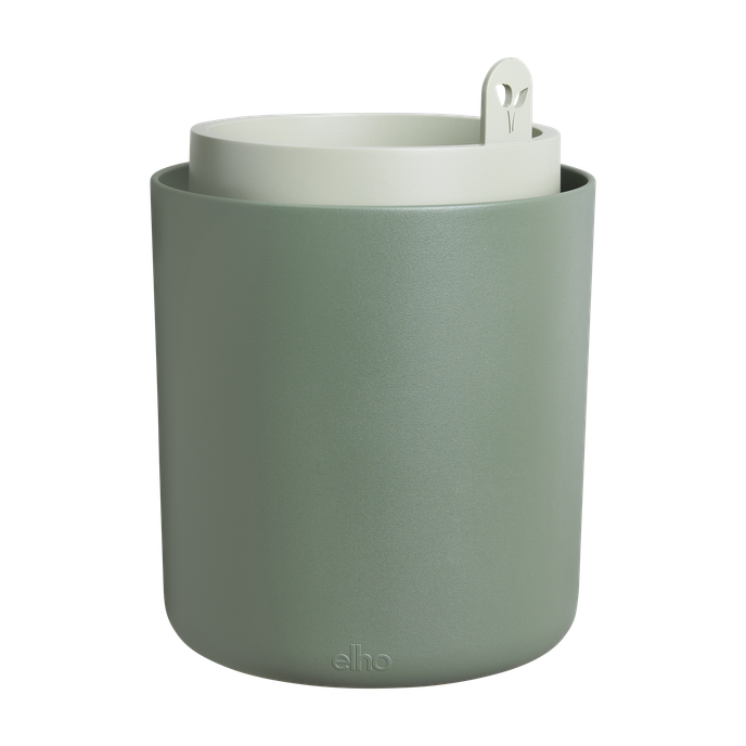 bouncy basil leaf green